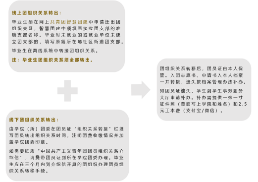 343232423.png
